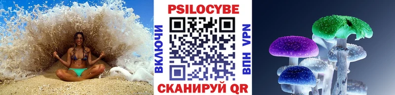 даркнет сайт  Дмитровск  Псилоцибиновые грибы прущие грибы 